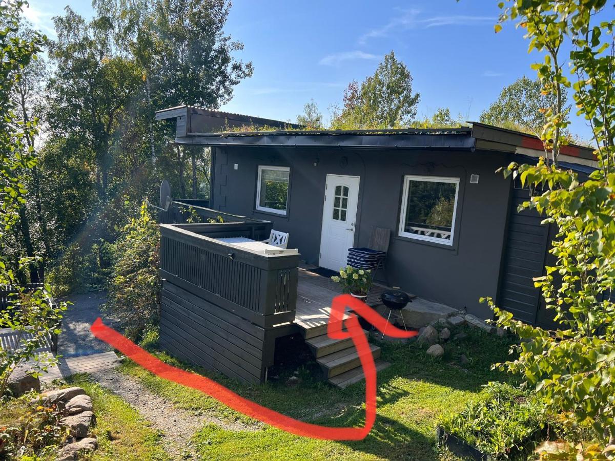 Вілла Vestre Haugen House Sentralt Oslo Gratis Privat Parkering Екстер'єр фото